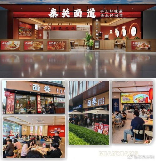 秦關面道攜手面巷 雙品牌戰略升級背后的供應鏈革新——惠優品食品工廠隆重揭幕